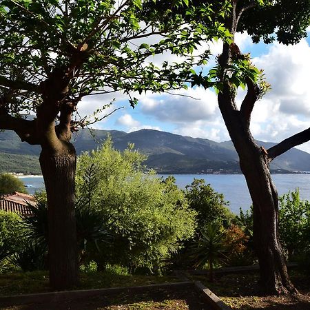 Le Relais De Tiuccia Villa Casaglione Dış mekan fotoğraf